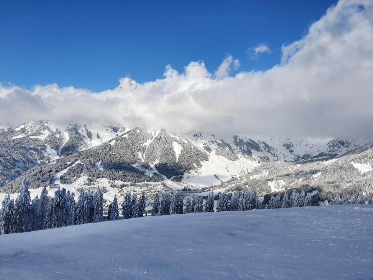 Haus Sonnleiten Maria Alm am Steinernen Meer Exterior foto
