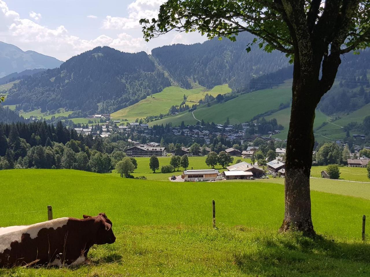 Haus Sonnleiten Maria Alm am Steinernen Meer Exterior foto